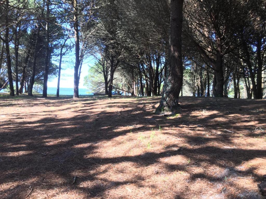 Casa Campelo - Apto Playa De Rodeira Cangas, Garaje Y Wifi Gratis エクステリア 写真
